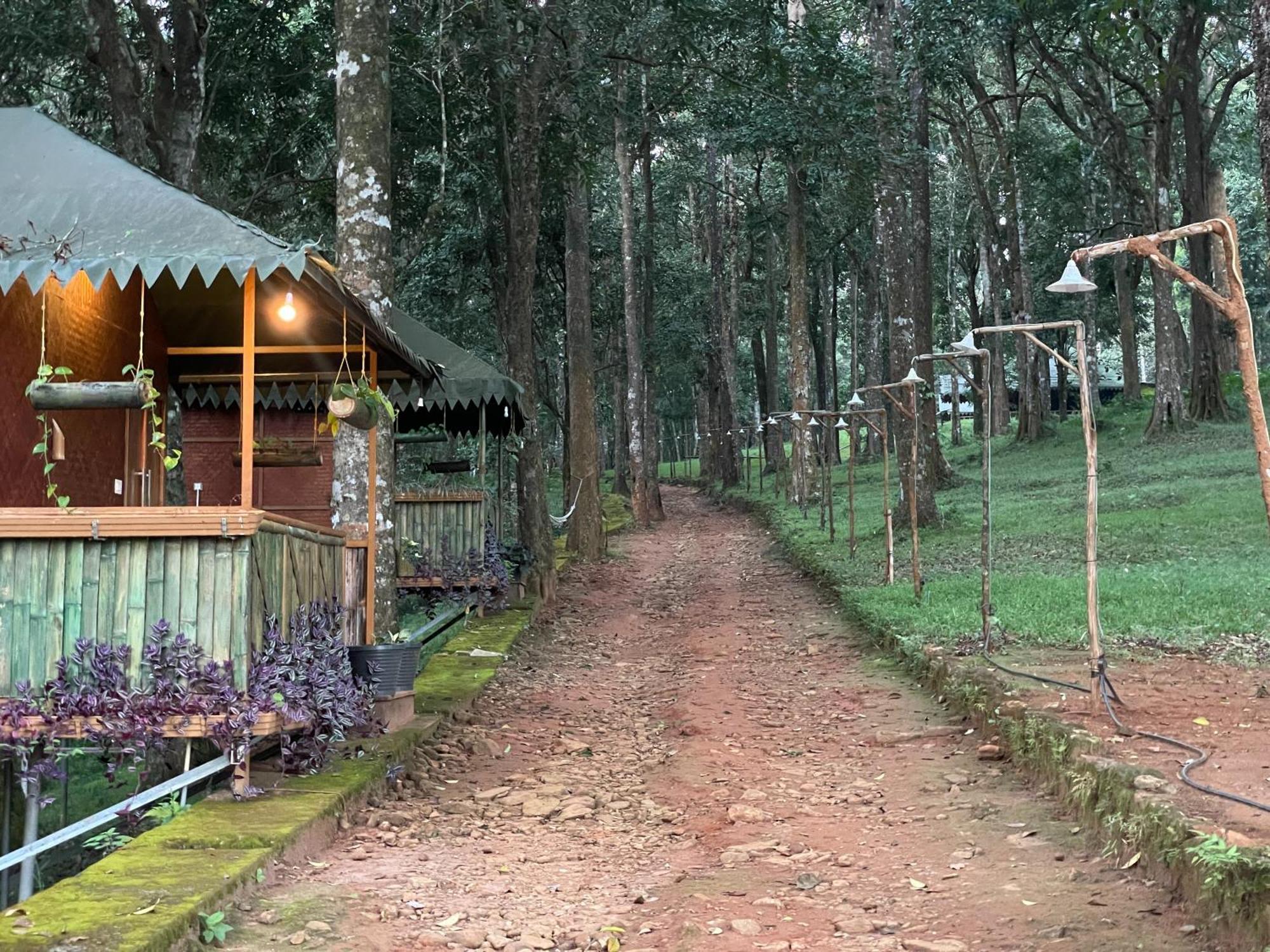 Budget Double Room,1539314908:JPEG